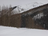 Ashcroft-238